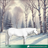 Horse Color:Silver Brown Dun Near Leopard 