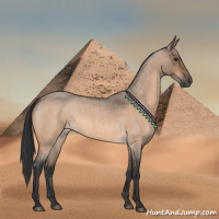 Horse Color:Brown Roan Dun 