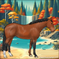 Horse Color:Bay 