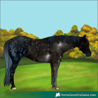 Horse Color:ERROR: UNKNOWN ANOMALY