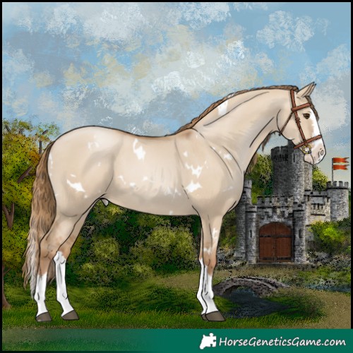 Horse Color:White Spotted Grullo Pearl Splash 
