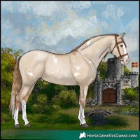 Horse Color:White Spotted Grullo Pearl Splash