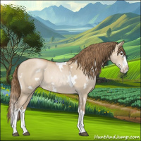 Horse Color:White Spotted Grullo Pearl Splash
