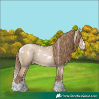Horse Color:White Spotted Grullo Pearl Splash