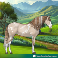 Horse Color:White Spotted Grullo Pearl Splash 