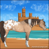 Horse Color:Amber Champagne Sabino Tobiano Blanket  and Amber Champagne Sabino Tobiano Blanket 