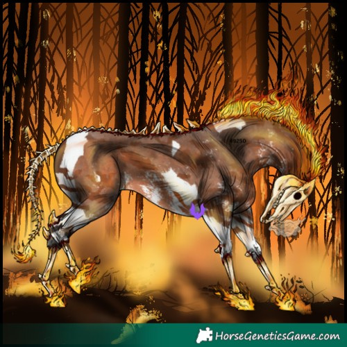 Horse Color:Bay Sabino Tobiano 
