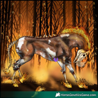 Horse Color:Bay Sabino Tobiano 