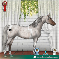 Horse Color:Silver Brown Roan Dun Tobiano 