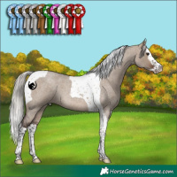 Horse Color:Silver Brown Roan Dun Splash Tobiano