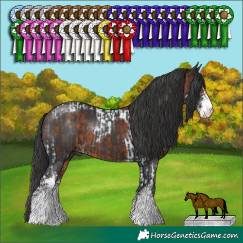 Horse Color:Bay Sabino Tobiano  and Black Sabino 