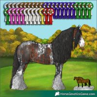 Horse Color:Bay Sabino Tobiano  and Black Sabino 