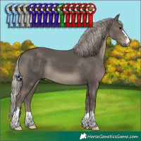 Horse Color:Silver Black 