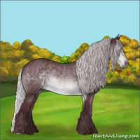Horse Color:Chocolate Silver Brown Chinchilla 