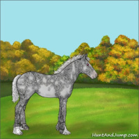Horse Color:Chocolate Silver Sable Champagne Chinchilla Ice 