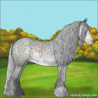 Horse Color:Silver Classic Cream Champagne Chinchilla 