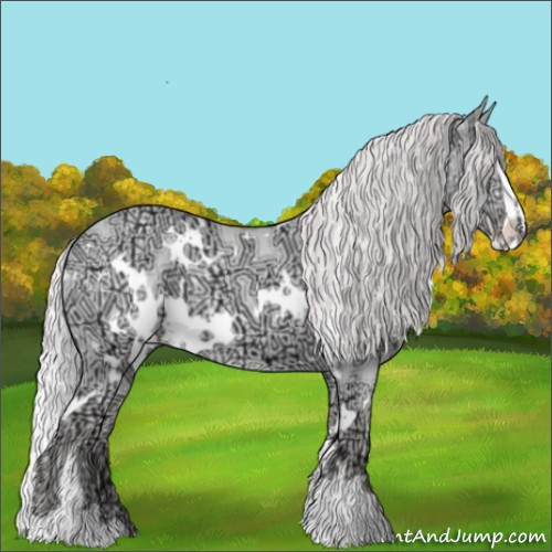 Horse Color:White Spotted Chocolate Silver Sable Champagne Chinchilla Ice Sabino