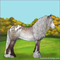 Horse Color:Chocolate Silver Brown Chinchilla Sabino Blanket