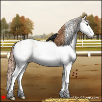 Horse Color:Red Dun Sabino