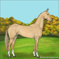 Horse Color:Palomino Dun Tobiano