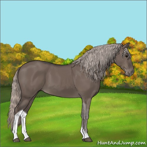 Horse Color:Silver Grullo Tobiano