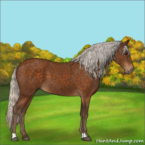 Horse Color:Silver Buckskin 