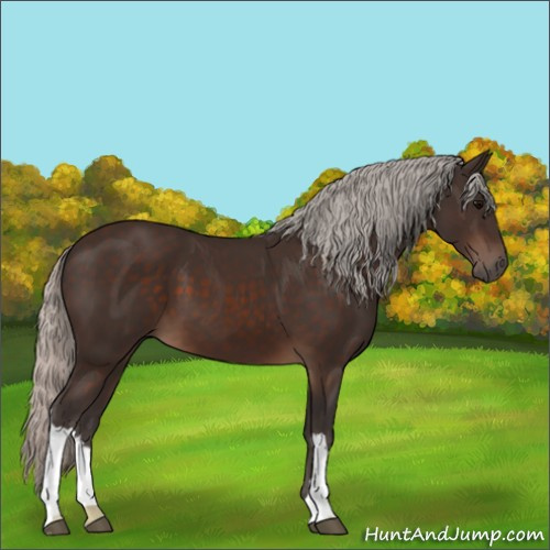 Horse Color:Silver Brown 