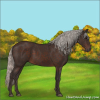 Horse Color:Silver Brown 