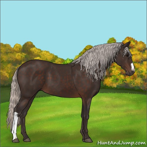 Horse Color:Silver Brown 