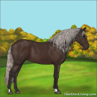 Horse Color:Silver Brown 