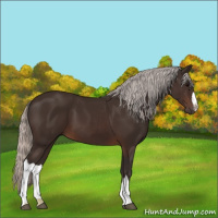 Horse Color:Silver Brown 