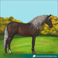 Horse Color:Silver Brown 