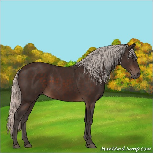 Horse Color:Silver Brown 