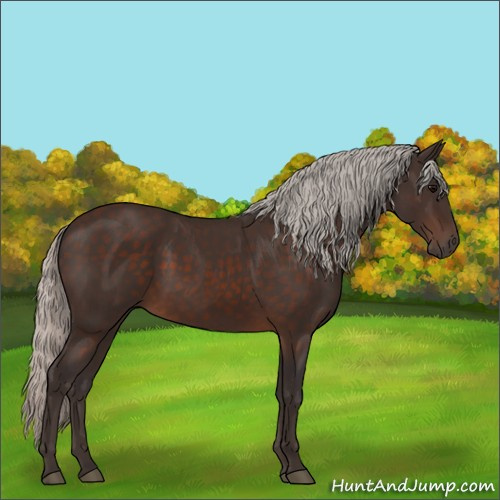 Horse Color:Silver Brown 