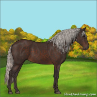 Horse Color:Silver Brown