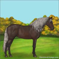 Horse Color:Silver Brown