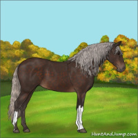 Horse Color:Silver Brown 