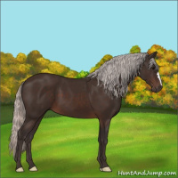 Horse Color:Silver Brown