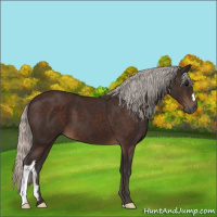 Horse Color:Silver Brown