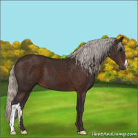 Horse Color:Silver Brown 