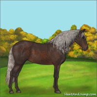 Horse Color:Silver Brown 
