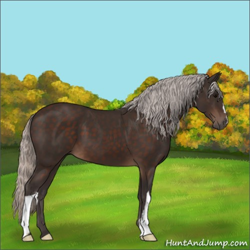 Horse Color:Silver Brown 