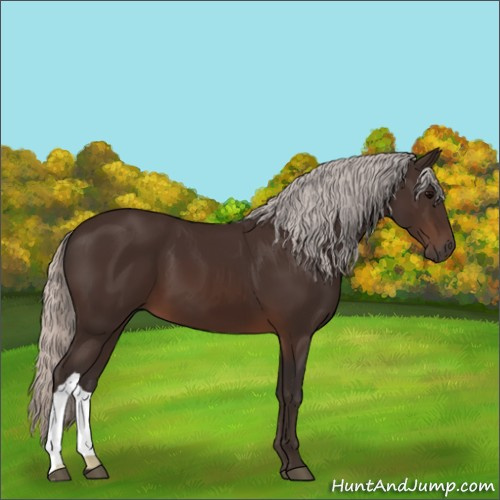 Horse Color:Silver Brown