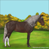 Horse Color:Silver Brown 