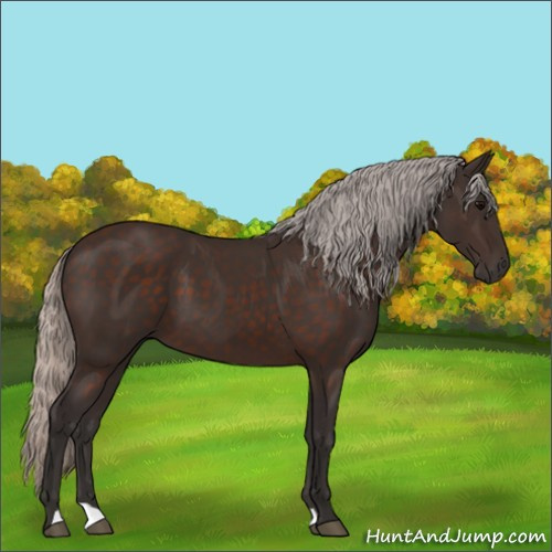 Horse Color:Silver Brown 
