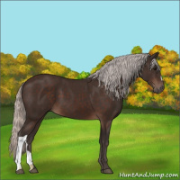 Horse Color:Silver Brown