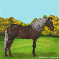 Horse Color:Silver Brown