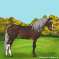 Horse Color:Silver Brown 