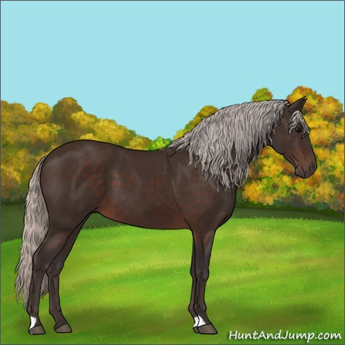 Horse Color:Silver Brown 