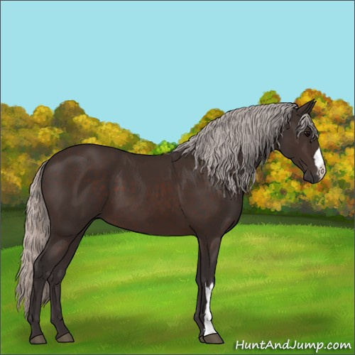 Horse Color:Silver Brown 